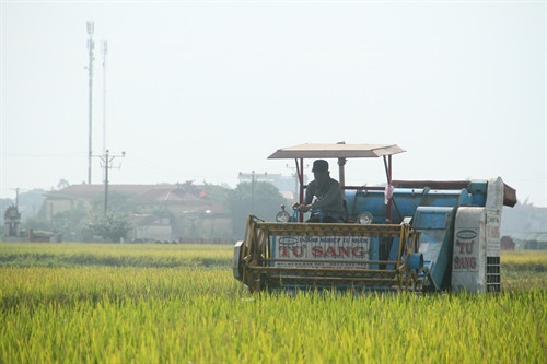 Cơ giới hóa trên cánh đồng Chúc Sơn (Chương Mỹ)