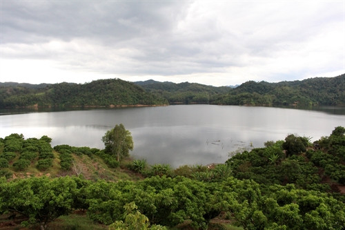 Trên lòng hồ Cấm Sơn có những bãi bồi dày phù sa được người dân địa phương tận dụng để trồng ngô và hoa màu.