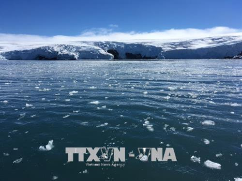 Băng trôi trên sông băng Collins ở Nam Cực. Ảnh: AFP/TTXVN. Băng trôi trên sông băng Collins ở Nam Cực. Ảnh: AFP/TTXVN.