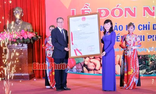 Đón nhận văn bằng bảo hộ chỉ dẫn địa lý “Hạt điều Bình Phước”. Ảnh : baobinhphuoc.com.vn