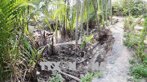 Đường dân sinh bị sạt lở gần như toàn bộ. Ảnh: Nam Thái – TTXVN Đường dân sinh bị sạt lở gần như toàn bộ. Ảnh: Nam Thái – TTXVN