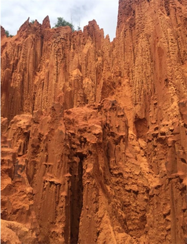 Tại Bồng lai, Du khách có thể trải nghiệm những gì thú vị nhất của một khu du lịch dã ngoại