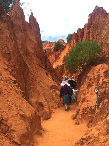 Khám phá nhũ cát