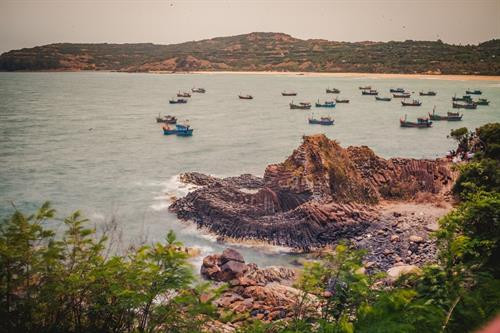 Vẻ đẹp nguyên sơ của Gành Đá Đĩa ảnh 7 Vẻ đẹp nguyên sơ của Gành Đá Đĩa ảnh 7