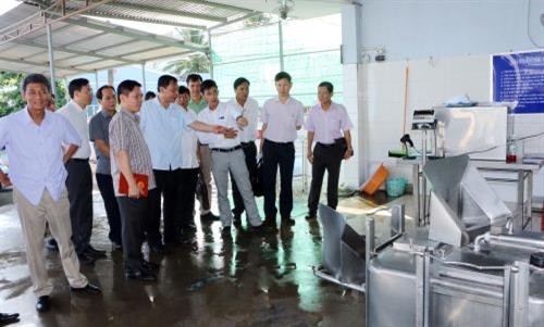 Mô hình hợp tác xã nuôi bò sữa giúp đồng bào Khmer thoát nghèo ảnh 1 Mô hình hợp tác xã nuôi bò sữa giúp đồng bào Khmer thoát nghèo ảnh 1