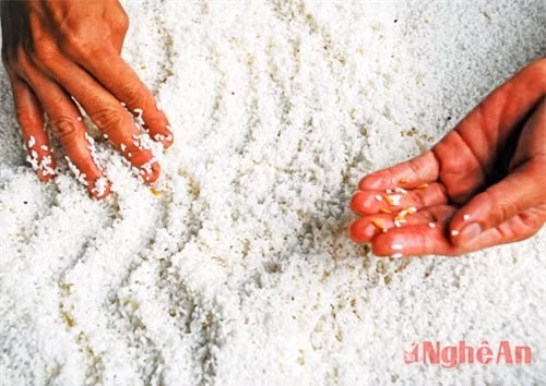 Bánh đa Đô Lương - đặc sản xứ Nghệ ảnh 2