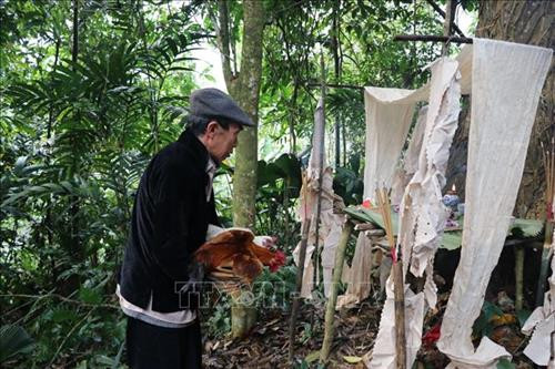 Thầy cúng thực hiện nghi lễ cúng gà dâng tạ Thần rừng. Ảnh: Việt Dũng – TTXVN Thầy cúng thực hiện nghi lễ khấn tạ Thần rừng. Ảnh: Việt Dũng – TTXVN Thầy cúng chuẩn bị hành lễ. Ảnh: Việt Dũng – TTXVN