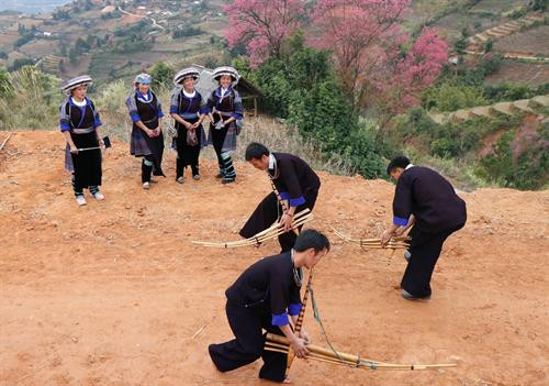 Nam thanh, nữ tú người Mông ở xã La Pán Tẩn cùng nhau chơi trò chơi ném còn dưới gốc hoa Tớ Dày. Ngày Tết đến xuân về, những người đàn ông Mông ở Mù Cang Chải đều mang theo khèn và biểu diễn những điệu múa khèn mạnh mẽ thể hiện sự trai tráng của mình dưới gốc hoa Tớ Dày. Nam thanh, nữ tú người Mông ở xã La Pán Tẩn cùng nhau chơi trò chơi ném còn dưới gốc hoa Tớ Dày. Ngày Tết đến xuân về, những người đàn ông Mông ở Mù Cang Chải đều mang theo khèn và biểu diễn những điệu múa khèn mạnh mẽ thể hiện sự trai tráng của mình dưới gốc hoa Tớ Dày.