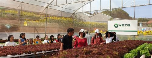Du khách, học sinh tham quan, mua rau về cho gia đình và được trồng thử nghiệm rau thủy canh tại nông trại. Du khách, học sinh tham quan, mua rau về cho gia đình và được trồng thử nghiệm rau thủy canh tại nông trại.