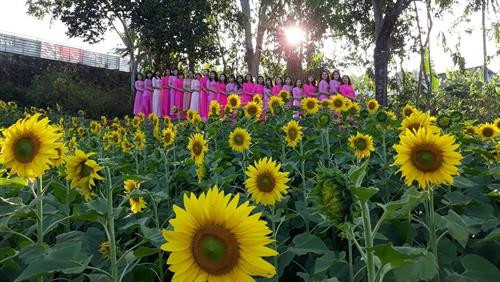 Du khách chụp ảnh lưu niệm tại Mô hình du lịch nông nghiệp dịp Tết Cổ truyền 2020. Du khách chụp ảnh lưu niệm tại Mô hình du lịch nông nghiệp dịp Tết Cổ truyền 2020.