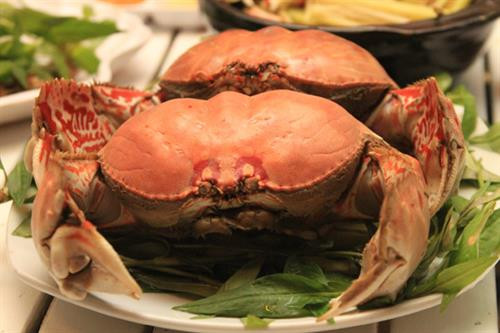 Khám phá kỳ thú về con cúm núm đặc sản Cần Giờ ảnh 2