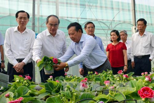 Bí thư Thành ủy Nguyễn Thiện Nhân và đại diện nhiều lãnh đạo Sở, Ban, ngành tham quan khu nhà kính tại Trung tâm Công nghệ sinh học Thành phố Hồ Chí Minh. Ảnh: Mạnh Linh-TTXVN Bí thư Thành ủy Nguyễn Thiện Nhân và đại diện nhiều lãnh đạo Sở, Ban, ngành tham quan khu nhà kính tại Trung tâm Công nghệ sinh học Thành phố Hồ Chí Minh. Ảnh: Mạnh Linh-TTXVN