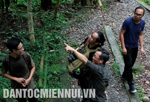 Các phóng viên tham gia khóa tập guấn tham quan thực tế tại Vườn Quốc gia Cát Tiên Các phóng viên tham gia khóa tập guấn tham quan thực tế tại Vườn Quốc gia Cát Tiên