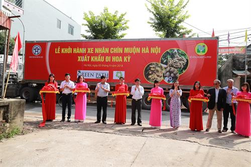 Phó Chủ tịch Thường trực UBND Thành phố Hà Nội Nguyễn Văn Sửu (người đứng giữa) cắt băng khởi hành xe chở nhãn chín muộn xuất khẩu sang châu Âu. Ảnh: Lê Lan Hương Giám đốc Sở Nông nghiệp và Phát triển nông thôn Hà Nội Chu Phú Mỹ (người đứng giữa) cắt băng khởi hành xe chở nhãn chín muộn xuất khẩu sang Mỹ. Ảnh: Lê Lan Hương