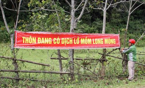 Treo biển thông báo khu vực đang có dịch lở mồm long móng. Ảnh: Trịnh Bang Nhiệm - TTXVN Treo biển thông báo khu vực đang có dịch lở mồm long móng. Ảnh: Trịnh Bang Nhiệm - TTXVN