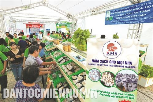 Gian hàng bày bán sản phẩm nấm sạch. Ảnh: Tuấn Kiệt