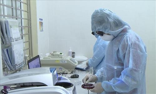 Xét nghiệm chẩn đoán nhanh virus SARS-CoV-2. Ảnh: TTXVN phát