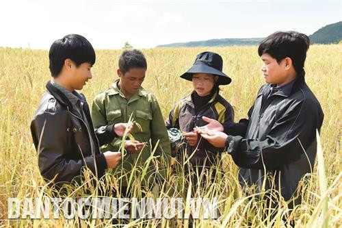 Phòng Nông nghiệp huyện Chư Sê triển khai mô hình lúa hỗ trợ cho 8 hộ nghèo ở xã Ayun. Ảnh: Phạm Cường Hộ gia đình ông Siu Blớ ở xã Ia Lốp, từ nguồn vốn hỗ trợ ban đầu, đến nay đã có 20 con dê, 13 con bò, 1 ha cà phê và 800 trụ tiêu, mỗi năm thu nhập trên 200 triệu đồng. Ảnh: Phạm Cường Đồng bào dân tộc ở xã Chư Pông, huyện Chư Sê chuẩn bị phân bón cây trồng. Ảnh: Phạm Cường Phòng Nông nghiệp huyện Chư Sê triển khai mô hình lúa hỗ trợ cho 8 hộ nghèo ở xã Ayun. Ảnh: Phạm Cường Hộ gia đình ông Siu Blớ ở xã Ia Lốp, từ nguồn vốn hỗ trợ ban đầu, đến nay đã có 20 con dê, 13 con bò, 1 ha cà phê và 800 trụ tiêu, mỗi năm thu nhập trên 200 triệu đồng. Ảnh: Phạm Cường Đồng bào dân tộc ở xã Chư Pông, huyện Chư Sê chuẩn bị phân bón cây trồng. Ảnh: Phạm Cường