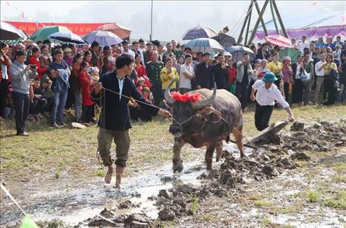 Các thầy cúng thực hiện nghi lễ cúng trong ngày hội cầu mong cho mưa thuận gió hòa để thuận lợi cho bà con sản xuất nông nghiệp. Ảnh: Quý Trung – TTXVN Lãnh đạo xã Mường Cang xuống đồng cầy bừa cầu mong mùa màng tốt tươi. Ảnh: Quý Trung – TTXVN Nghi thức gieo hạt trong lễ hội mong một năm được mùa tươi tốt. Ảnh: Quý Trung – TTXVN Du khách thập phương và người dân tham gia múa sạp tại lễ hội. Ảnh: Quý Trung – TTXVN Đông đảo người dân tham gia múa xòe tại lễ hội. Ảnh: Quý Trung – TTXVN Phần thi trò chơi dân gian thi Tó Má Lẹ của đồng bào dân tộc Thái tại lễ hội. Ảnh: Quý Trung – TTXVN Trò chơi Ném còn thu hút đông đảo du khách và người dân tham gia. Ảnh: Quý Trung - TTXVN Các thầy cúng thực hiện nghi lễ cúng trong ngày hội cầu mong cho mưa thuận gió hòa để thuận lợi cho bà con sản xuất nông nghiệp. Ảnh: Quý Trung – TTXVN Lãnh đạo xã Mường Cang xuống đồng cầy bừa cầu mong mùa màng tốt tươi. Ảnh: Quý Trung – TTXVN Nghi thức gieo hạt trong lễ hội mong một năm được mùa tươi tốt. Ảnh: Quý Trung – TTXVN Du khách thập phương và người dân tham gia múa sạp tại lễ hội. Ảnh: Quý Trung – TTXVN Đông đảo người dân tham gia múa xòe tại lễ hội. Ảnh: Quý Trung – TTXVN Phần thi trò chơi dân gian thi Tó Má Lẹ của đồng bào dân tộc Thái tại lễ hội. Ảnh: Quý Trung – TTXVN Trò chơi Ném còn thu hút đông đảo du khách và người dân tham gia. Ảnh: Quý Trung - TTXVN