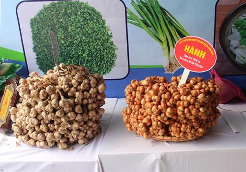 Sản phẩm hành, tỏi Kinh Môn tham gia Hội nghị tiêu thụ nông sản tại thủ đô Hà Nội.