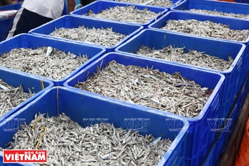 Nước mắm Gành Đỏ ảnh 3