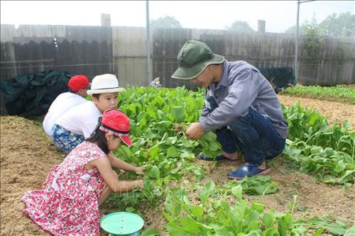 Trẻ em được đến tham quan và trải nghiệm thu hoạch rau sạch tại trang trại Sunny Farm – mô hình trồng rau theo hướng hữu cơ tại phường 12, thành phố Vũng Tàu. Ảnh: Hoàng Nhị - TTXVN Trẻ em được đến tham quan và trải nghiệm thu hoạch rau sạch tại trang trại Sunny Farm – mô hình trồng rau theo hướng hữu cơ tại phường 12, thành phố Vũng Tàu. Ảnh: Hoàng Nhị - TTXVN