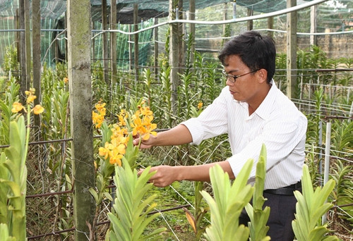 Mô hình trồng hoa lan ứng dụng công nghệ cao tại huyện Cư M’Gar. Mô hình trồng hoa lan ứng dụng công nghệ cao tại huyện Cư M’Gar.