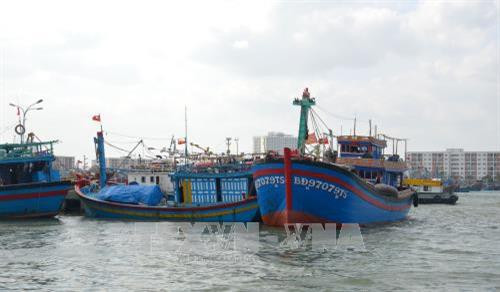 Đà Nẵng kêu gọi hơn 1.000 tỷ đồng để xây dựng cảng cá Thọ Quang. Ảnh: Đinh Văn Nhiều-TTXVN Đà Nẵng kêu gọi hơn 1.000 tỷ đồng để xây dựng cảng cá Thọ Quang. Ảnh: Đinh Văn Nhiều-TTXVN