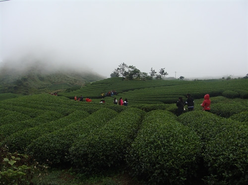 Ảnh minh họa- TTXVN