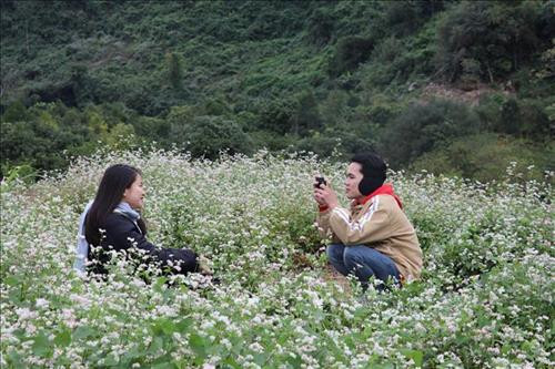 Những cánh hoa rung rinh trước những ngọn gió Đông buốt giá có sức sống, tươi tắn đến kỳ lạ. Ảnh: Ninh Đức Phương - TTXVN Những cánh hoa rung rinh trước những ngọn gió Đông buốt giá có sức sống, tươi tắn đến kỳ lạ. Ảnh: Ninh Đức Phương - TTXVN