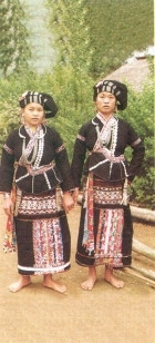 Phụ nữ Lự dùng vải đen chàm để làm màu nền của váy, áo, khăn và kiêng màu trắng. Họ thêu các mảng viền hoa văn quả trám ngang, dọc tạo thành váy hai tầng. áo có đeo các vòng bạc ở ngực, mặc theo kiểu chéo vạt cài dải ở bên hông trái. Phụ nữ Lự dùng vải đen chàm để làm màu nền của váy, áo, khăn và kiêng màu trắng. Họ thêu các mảng viền hoa văn quả trám ngang, dọc tạo thành váy hai tầng. áo có đeo các vòng bạc ở ngực, mặc theo kiểu chéo vạt cài dải ở bên hông trái.