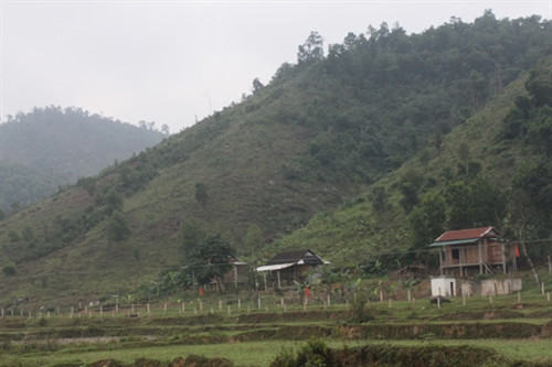 Xuân mới trên bản Rào Tre ảnh 6 Xuân mới trên bản Rào Tre ảnh 6