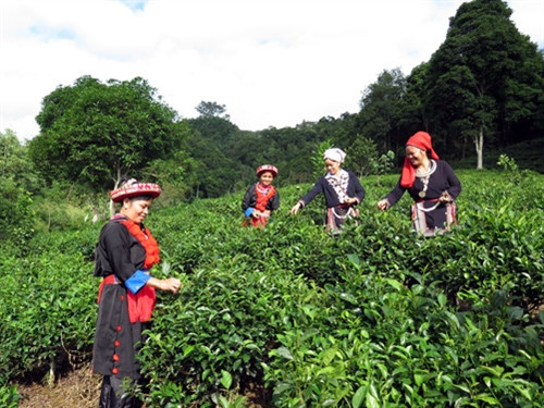 Khi người dân đồng thuận xây dựng nông thôn mới ảnh 1