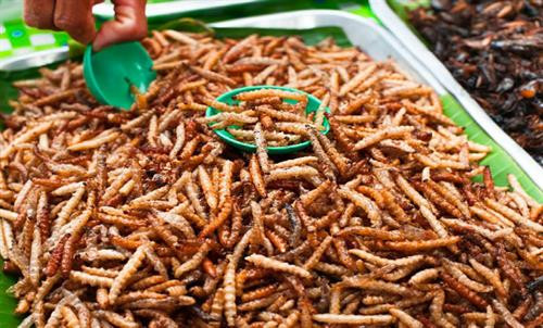 Món ăn từ sâu được bán tại chợ ở Thái Lan. Ảnh: Asiafood.