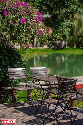 Huyền bí Ma Rừng lữ quán ảnh 8