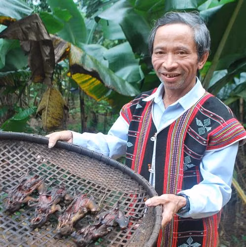 Già Phạm Văn Crới giới thiệu sóc xông khói.