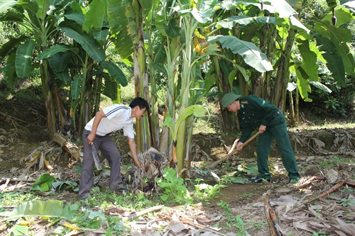 Bộ đội Biên phòng Huổi Luông giúp dân phát triển kinh tế. Ảnh: Nguyễn Duy - TTXVN