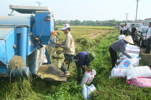 Việc đưa máy móc vào phục vụ nông nghiệp giúp giảm thiểu chi phí và sức lao động cho bà con nông dân.