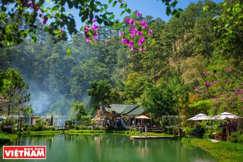 Huyền bí Ma Rừng lữ quán ảnh 1