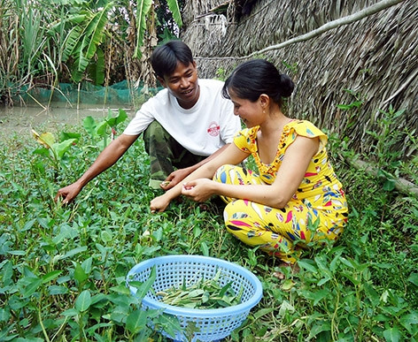 Nhận thức của đồng bào dân tộc Khmer về bình đẳng giới đã có nhiều thay đổi tích cực.