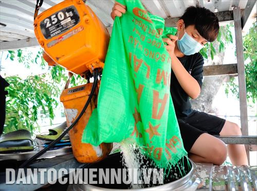 Tại khu vực thùng gạo luôn có tình nguyện viên túc trực để việc việc vận hành máy "ATM gạo" được thông suốt, liên tục