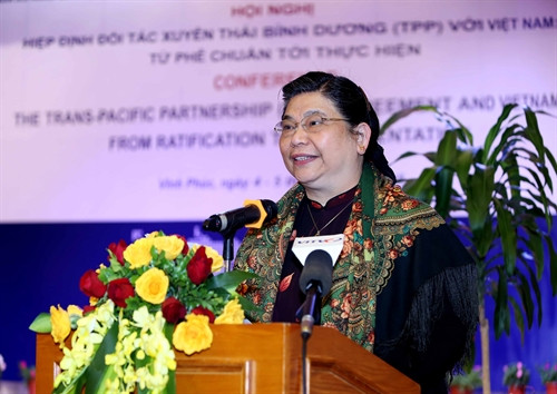 Phó Chủ tịch Quốc hội Tòng Thị Phóng phát biểu tại hội nghị. Ảnh: An Đăng - TTXVN Phó Chủ tịch Quốc hội Tòng Thị Phóng phát biểu tại hội nghị. Ảnh: An Đăng - TTXVN