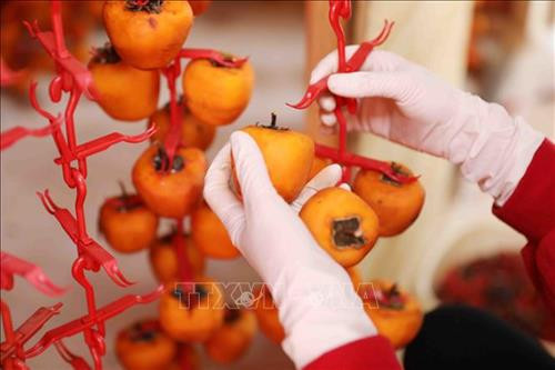 Quả hồng được gọt sạch vỏ và treo lên giá. Ảnh: Nhật Anh - TTXVN Quả hồng được gọt sạch vỏ và treo lên giá. Ảnh: Nhật Anh - TTXVN
