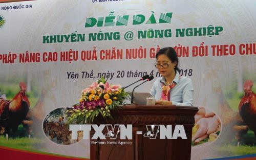 Bà Hạ Thúy Hạnh, Phó giám đốc Trung tâm Khuyến nông Quốc gia, trao đổi một số hoạt động khuyến nông góp phần nâng cao hiệu quả chăn nuôi. Ảnh: Tùng Lâm – TTXVN