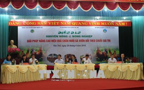 Đại diện Ban cố vấn trả lời các câu hỏi của người nông dân liên quan đến kiểm soát dịch bệnh trên đàn gà. Ảnh: Tùng Lâm – TTXVN