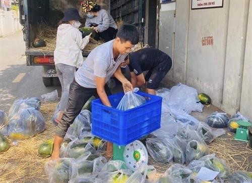 Một điểm "giải cứu" dưa hấu tại Quận 9, Thành phố Hồ Chí Minh. Ảnh: Hoàng Tuyết - TTXVN Một điểm "giải cứu" dưa hấu tại Quận 9, Thành phố Hồ Chí Minh. Ảnh: Hoàng Tuyết - TTXVN