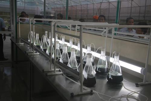 Kiểm tra xây dựng nông thôn mới, thăm các mô hình sản xuất nông nghiệp công nghệ cao tại huyện Thạch Thất ảnh 7