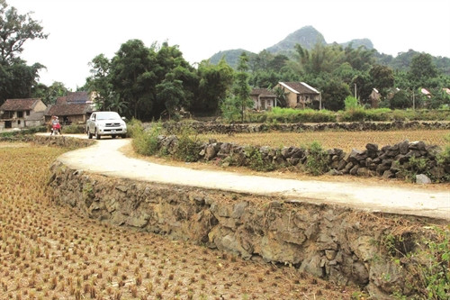 Hầu hết đường giao thông nông thôn trong huyện đã được bê tông hóa.