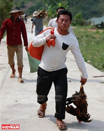 Cận cảnh mâm lễ vật cúng bản của người Cống. Mâm lễ vật này được chuẩn bị ở nhà thày mo. Thày mo làm lễ tại nhà trước khi lên vùng đất linh thiêng để làm lễ cúng bản. Người Cống rời nhà thày mo cùng lễ vật dâng lên hai vị thần nước và thần rừng. Ngoài đồ lễ được thày mo chuẩn bị, họ cũng mang theo gạo, gà và lợn để tế thần linh. Người Cống phát quang khu đất thiêng nơi có nguồn nước dẫn về bản. Trước khi làm lễ, trai bản dựng ngôi nhà nhỏ để đón thần linh về chứng kiến lễ cúng của họ. Thày mo đọc bài khấn đầu tiên trong lễ cúng để mời thần linh về cho dân bản làm lễ. Thày mo giết gà làm vật tế cầu vị thần linh che chở cho bản làng của họ được an lành. C huẩn bị đồ chín để cúng tạ ơn các vị thần. Trai bản giúp thày mo chuẩn bị lễ vật để làm lễ cúng. Thày mo rót rượu mời các vị thần sau khi thực hiện xong bài khấn. Xem bói từ gan là phần rất quan trọng của lễ cúng bản. Qua những đặc điểm của lá ga vừa tế thần, thày mo sẽ nói cho dân bản về kết quả của buổi lễ. Lễ cúng bản của người Cống chỉ dành cho đàn ông. Họ sẽ ăn uống theo cách thức cổ xưa như ông bà tổ tiên của họ ngay tại vùng đất thiêng của bản. Dấu hiệu cấm bản của người Cống. Từ lúc những “chiếc khiêng” này được cắm xuống, bản Nậm Pục sẽ nội bất xuất ngoại bất nhập. Cận cảnh mâm lễ vật cúng bản của người Cống. Mâm lễ vật này được chuẩn bị ở nhà thày mo. Thày mo làm lễ tại nhà trước khi lên vùng đất linh thiêng để làm lễ cúng bản. Người Cống rời nhà thày mo cùng lễ vật dâng lên hai vị thần nước và thần rừng. Ngoài đồ lễ được thày mo chuẩn bị, họ cũng mang theo gạo, gà và lợn để tế thần linh. Người Cống phát quang khu đất thiêng nơi có nguồn nước dẫn về bản. Trước khi làm lễ, trai bản dựng ngôi nhà nhỏ để đón thần linh về chứng kiến lễ cúng của họ. Thày mo đọc bài khấn đầu tiên trong lễ cúng để mời thần linh về cho dân bản làm lễ. Thày mo giết gà làm vật tế cầu vị thần linh che chở cho bản làng của họ được an lành. C huẩn bị đồ chín để cúng tạ ơn các vị thần. Trai bản giúp thày mo chuẩn bị lễ vật để làm lễ cúng. Thày mo rót rượu mời các vị thần sau khi thực hiện xong bài khấn. Xem bói từ gan là phần rất quan trọng của lễ cúng bản. Qua những đặc điểm của lá ga vừa tế thần, thày mo sẽ nói cho dân bản về kết quả của buổi lễ. Lễ cúng bản của người Cống chỉ dành cho đàn ông. Họ sẽ ăn uống theo cách thức cổ xưa như ông bà tổ tiên của họ ngay tại vùng đất thiêng của bản. Dấu hiệu cấm bản của người Cống. Từ lúc những “chiếc khiêng” này được cắm xuống, bản Nậm Pục sẽ nội bất xuất ngoại bất nhập.