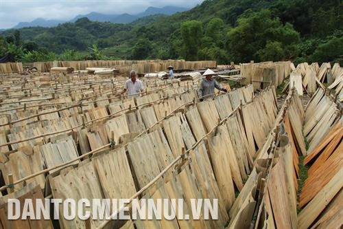 Nhờ được chuyển giao công nghệ, đồng bào xã Chu Hương tự sửa chữa máy nông nghiệp phục vụ sản xuất Khai thác và chế biến lâm sản tăng thêm thu nhập ở thôn Nà Đúc 2, xã Địa Linh Cán bộ khuyến nông huyện hướng dẫn đồng bào thôn Nà Lìn, xã Địa Linh chăm sóc cây hàng hóa mướp đắng rừng Đồng bào xã Cao Trĩ đưa máy móc vào làm đất sản xuất nông nghiệp Đồng bào bản Phiêng Phường xã Mỹ Phương thu hoạch ngô vụ xuân Cơ sở sản xuất chè của hợp tác xã chè Mỹ Phương Tư thương thu mua dê giống tại nhà anh Nông Văn Tiệp thôn Nà Phiêng, xã Mỹ Phương Bà con nông dân xã Chu Hương cấy vụ lúa hè thu Bà con thôn Nà Đông sinh hoạt tại nhà văn hóa xã Chu Hương Đường vào thôn Nà Đông, xã Chu Hương được làm bằng nguồn vốn chương trình 30a